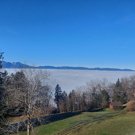 Gemuetliche Wohnung Mit Talblick Batschuns Exterior foto