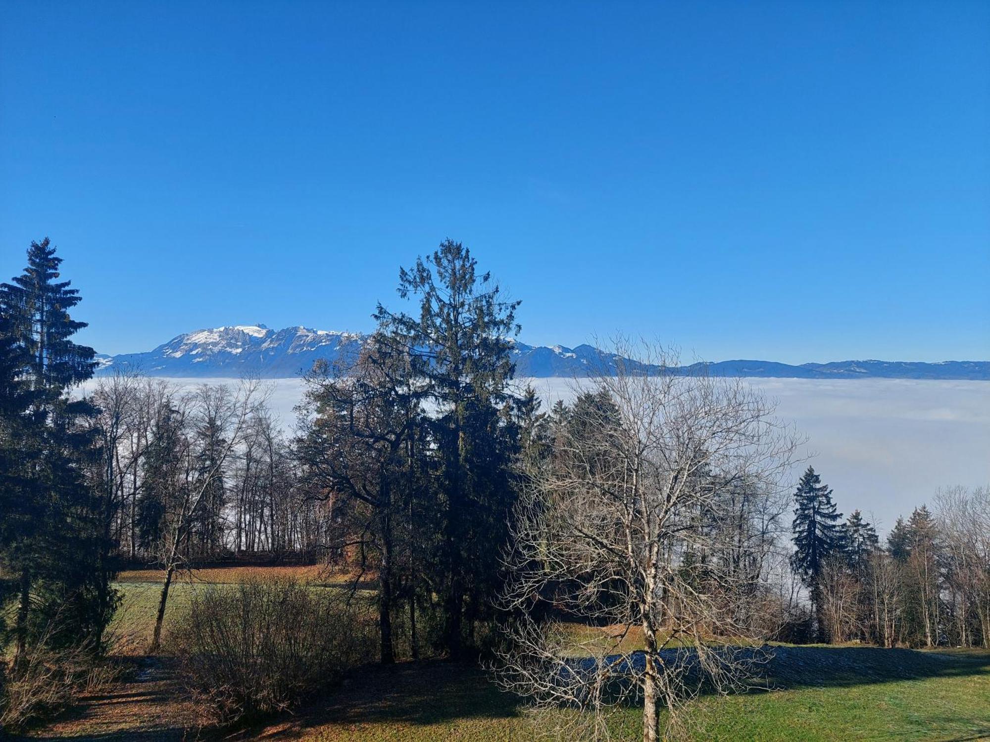Gemuetliche Wohnung Mit Talblick Batschuns Exterior foto