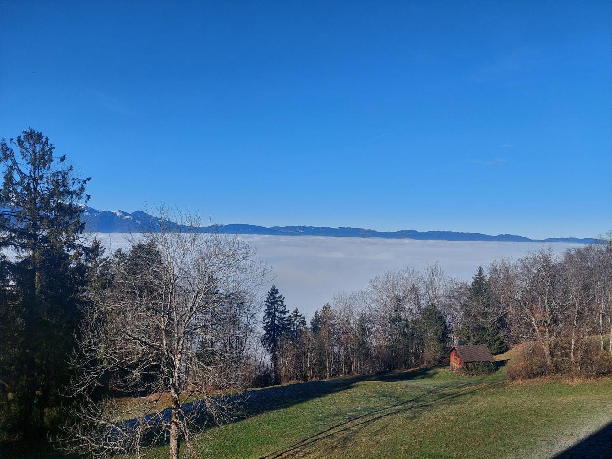 Gemuetliche Wohnung Mit Talblick Batschuns Exterior foto