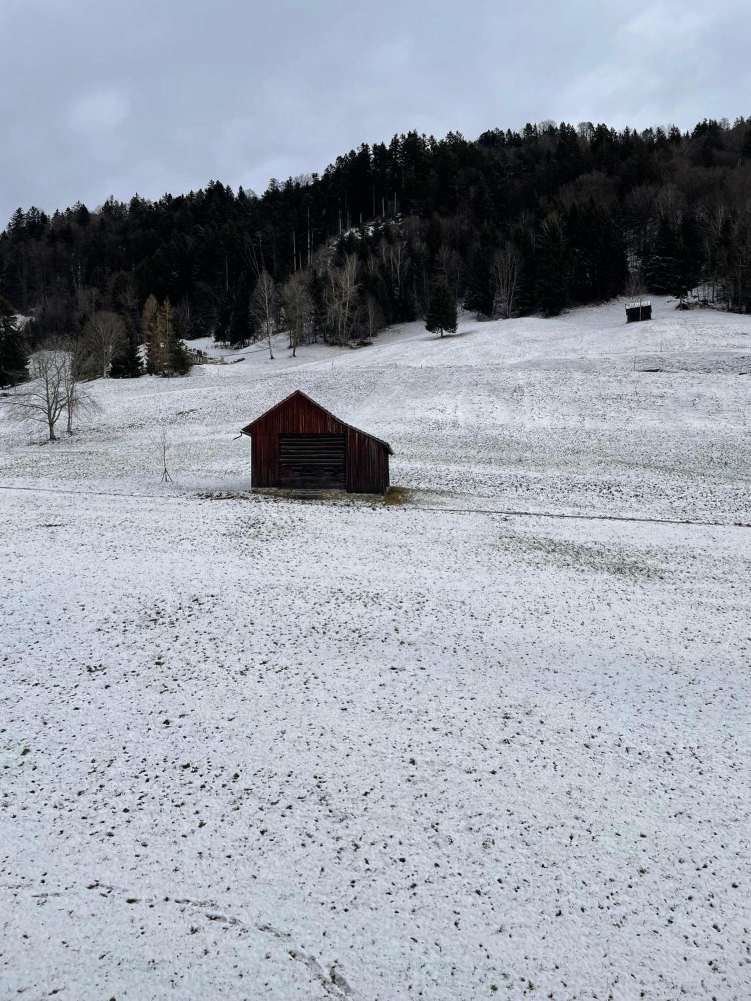 Gemuetliche Wohnung Mit Talblick Batschuns Exterior foto