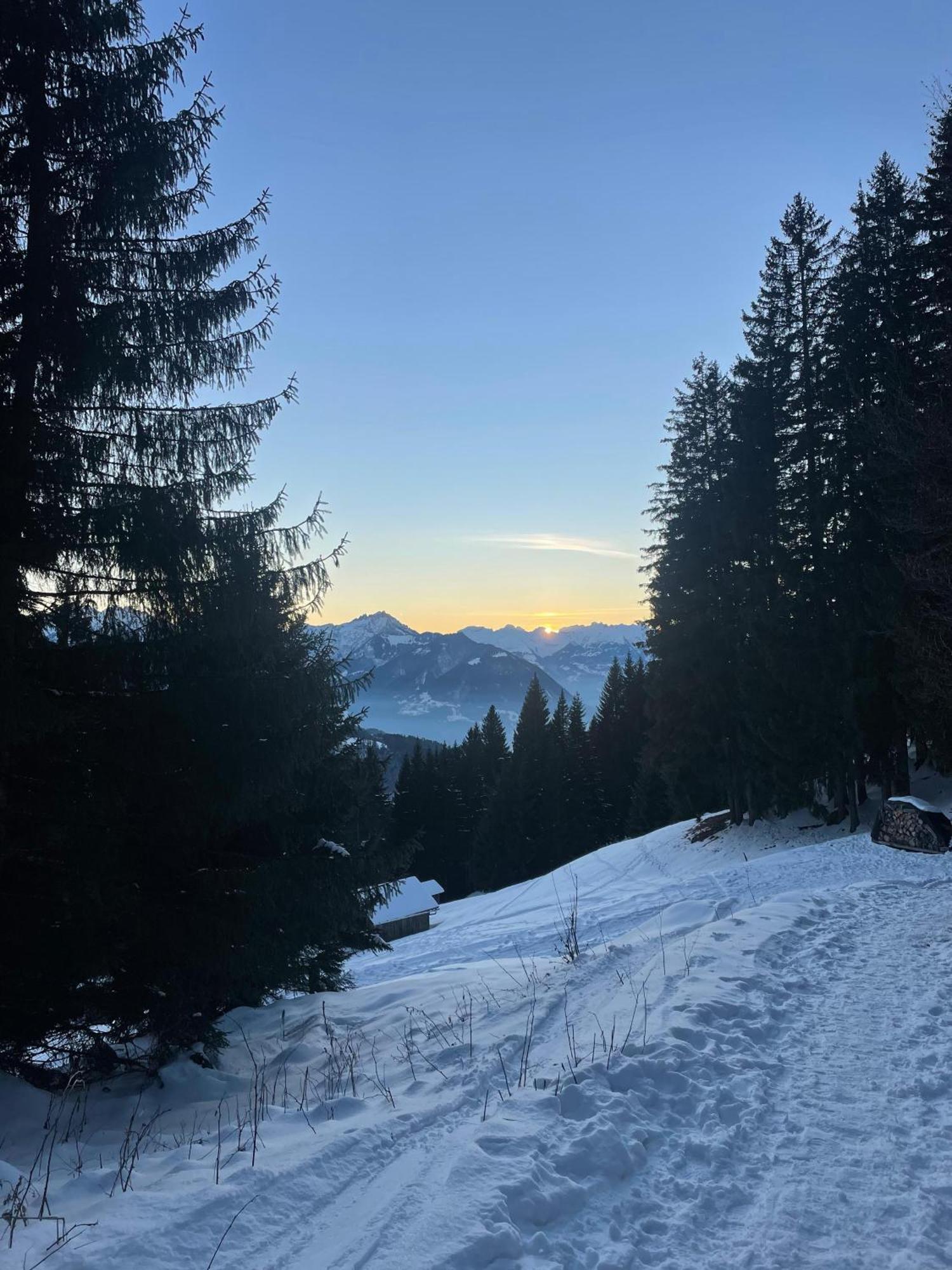 Gemuetliche Wohnung Mit Talblick Batschuns Exterior foto